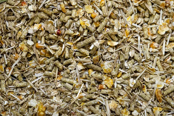 cereal-based feed for calves
